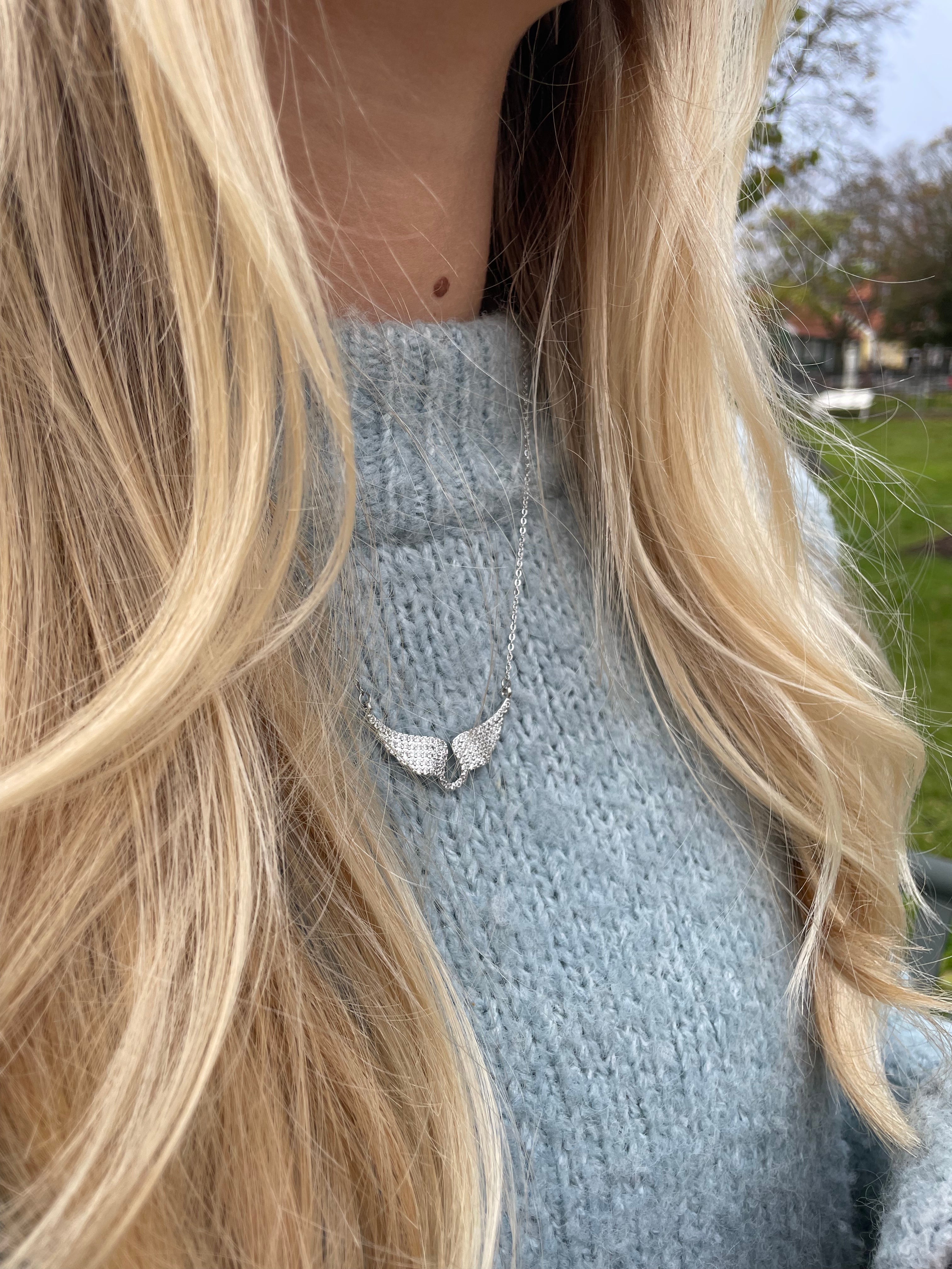 Wing necklace (Not stainless steel)