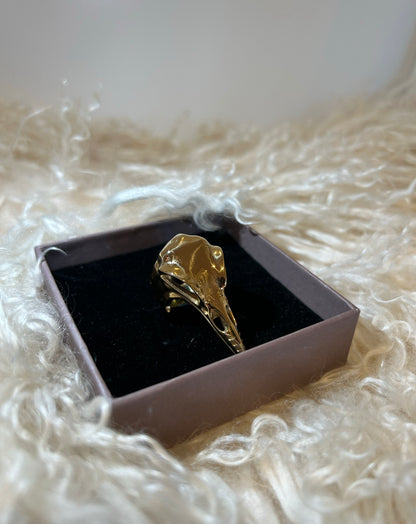 Bird ring